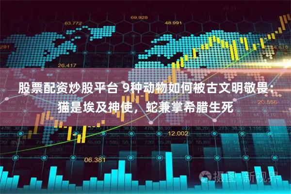 股票配资炒股平台 9种动物如何被古文明敬畏：猫是埃及神使，蛇兼掌希腊生死