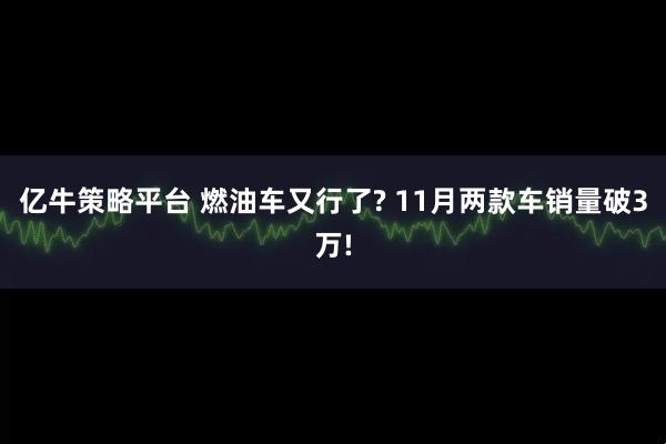 亿牛策略平台 燃油车又行了? 11月两款车销量破3万!
