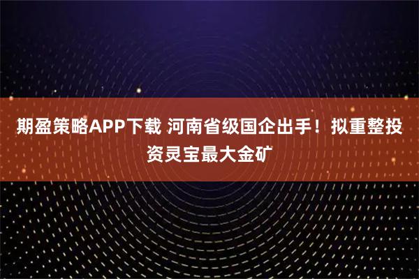 期盈策略APP下载 河南省级国企出手！拟重整投资灵宝最大金矿